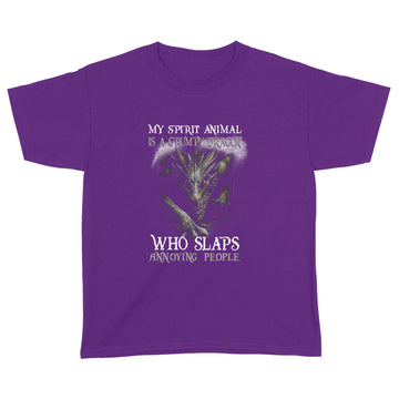 My Spirit Animal Is A Grumpy Dragon Who Slaps Annoying People Graphic Tees Shirt - Standard Youth T-shirt