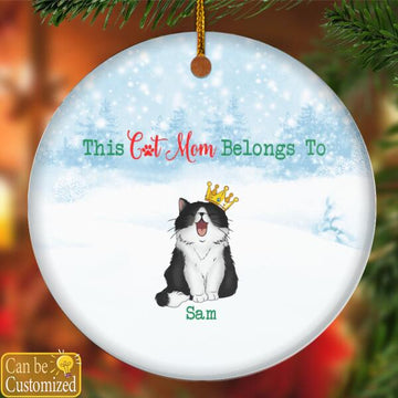 This Cat Mom Belongs To These Beloved Personalized Aluminum Ornament, Christmas Gift For Cat Lover