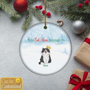 This Cat Mom Belongs To These Beloved Personalized Aluminum Ornament, Christmas Gift For Cat Lover