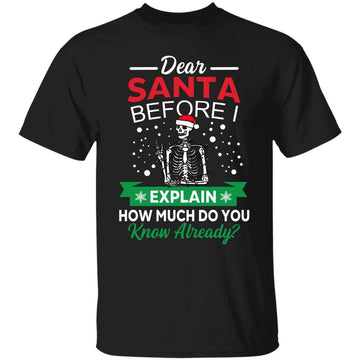 Dear Santa Before I Explain How Much Do You Know Already Christmas Gift Shirt