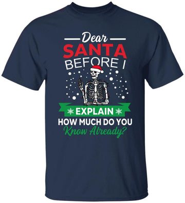 Dear Santa Before I Explain How Much Do You Know Already Christmas Gift Shirt