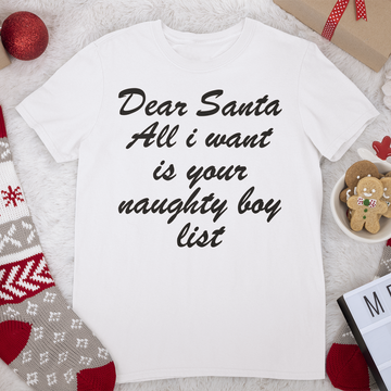 Dear Santa Shirt | Naughty or Nice List | Xmas Party Tee | Dear Santa All I Want | Funny Holiday Shirt | Naughty List T-Shirt